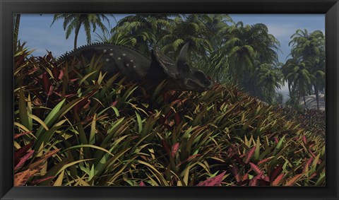 Framed Triceratops Grazing on Lush Foliage Print