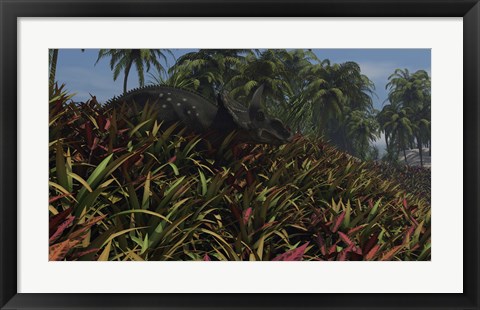 Framed Triceratops Grazing on Lush Foliage Print