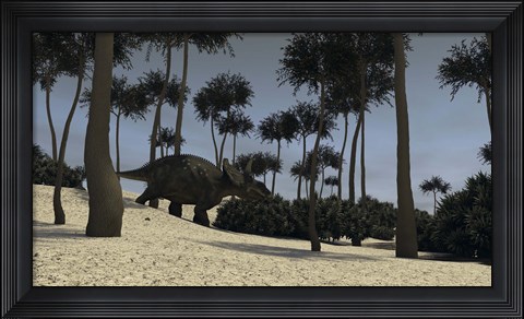 Framed Triceratops in a Prehistoric Environment Print