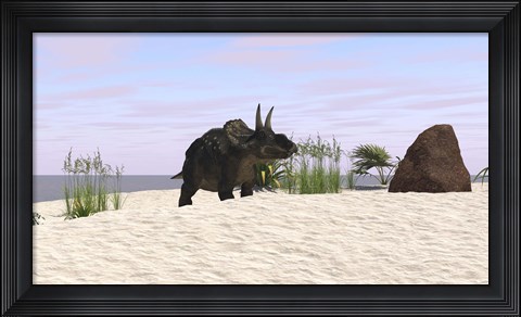 Framed Triceratops on a Beach Print