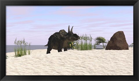 Framed Triceratops on a Beach Print