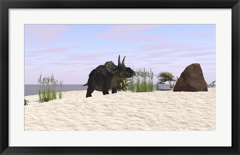 Framed Triceratops on a Beach Print