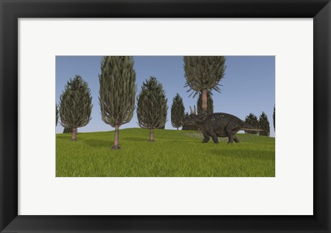 Framed Triceratops Walking across a Grassy Field 1 Print