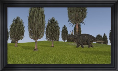 Framed Triceratops Walking across a Grassy Field 1 Print