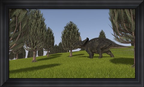 Framed Triceratops Walking across a Grassy Field 2 Print