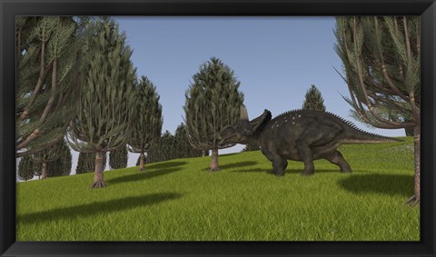 Framed Triceratops Walking across a Grassy Field 2 Print