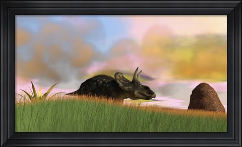 Framed Triceratops Walking across a Grassy Field 3 Print