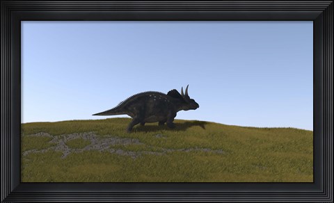 Framed Triceratops Walking across a Grassy Field 4 Print