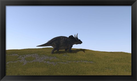 Framed Triceratops Walking across a Grassy Field 4 Print