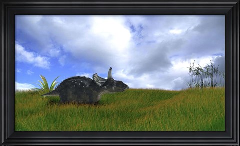 Framed Triceratops Walking across Prehistoric Grasslands Print