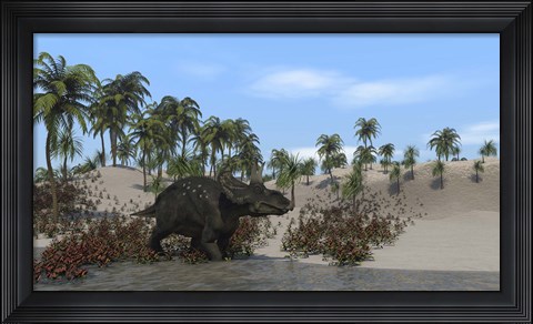 Framed Triceratops Walking along the Shoreline 1 Print