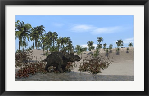 Framed Triceratops Walking along the Shoreline 1 Print