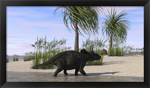 Framed Triceratops Walking along the Shoreline 2 Print