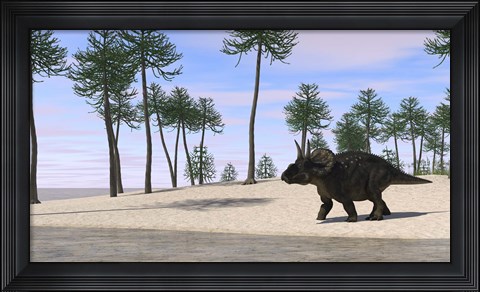 Framed Triceratops Walking along the Shoreline 3 Print