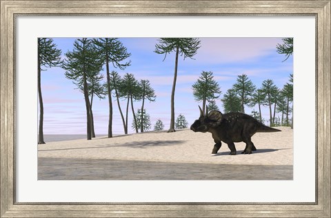 Framed Triceratops Walking along the Shoreline 3 Print