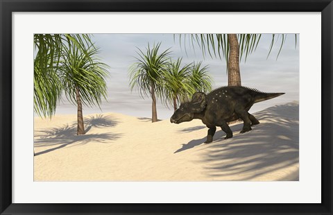 Framed Triceratops Walking in a Tropical Environment 2 Print