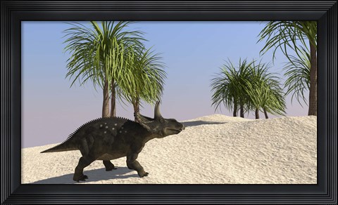 Framed Triceratops Walking in a Tropical Environment 3 Print
