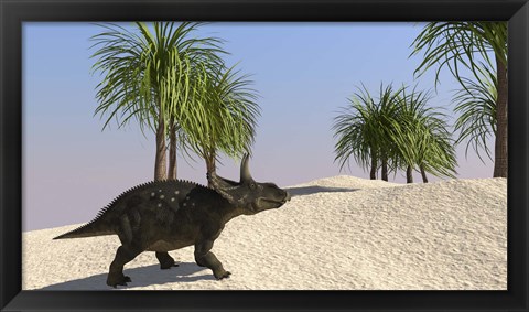 Framed Triceratops Walking in a Tropical Environment 3 Print