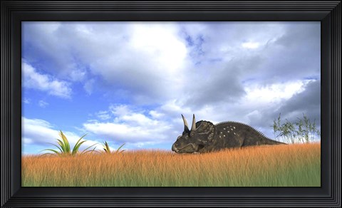 Framed Triceratops Walking through Tall Grass Print