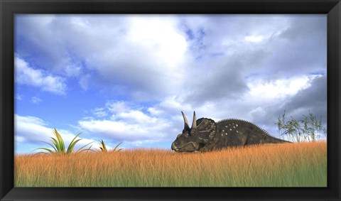 Framed Triceratops Walking through Tall Grass Print