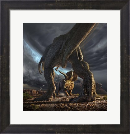 Framed Tyrannosaurus Rex and Triceratops in a Face Off Print