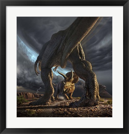 Framed Tyrannosaurus Rex and Triceratops in a Face Off Print