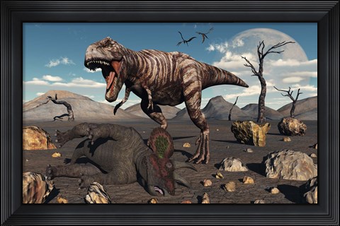 Framed T Rex is about to make a Meal of a Dead Triceratops Print