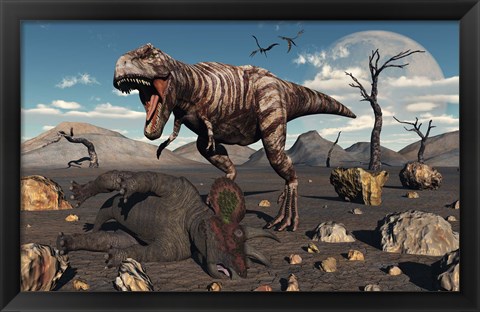 Framed T Rex is about to make a Meal of a Dead Triceratops Print