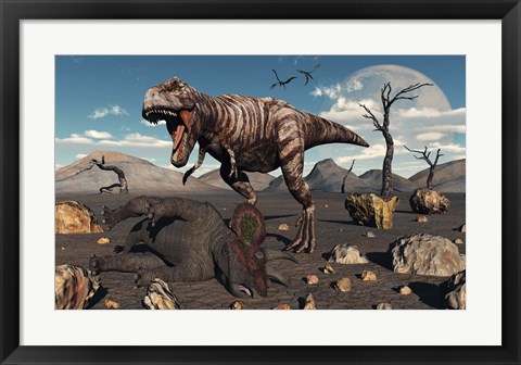 Framed T Rex is about to make a Meal of a Dead Triceratops Print