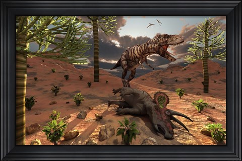 Framed T-Rex comes across the Carcass of a Dead Triceratops Print