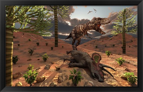 Framed T-Rex comes across the Carcass of a Dead Triceratops Print