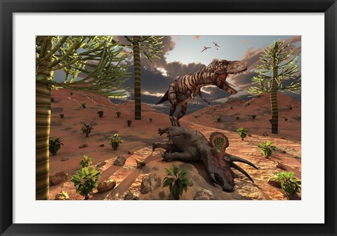 Framed T-Rex comes across the Carcass of a Dead Triceratops Print