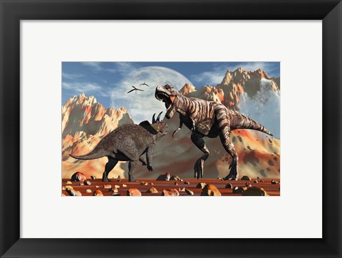 Framed T- Rex and Triceratops meet for a Battle 2 Print