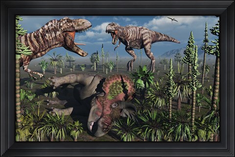 Framed Two T Rex dinosaurs confront each other over a dead Triceratops Print