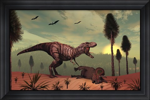 Framed Triceratops falls victim to Tyrannosaurus Rex Print