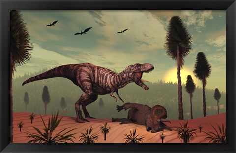 Framed Triceratops falls victim to Tyrannosaurus Rex Print