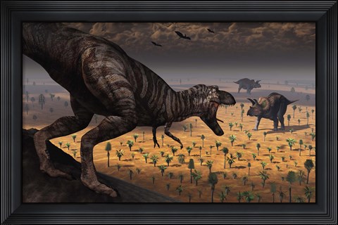 Framed Tyrannosaurus Rex spots two Passing Triceratops Print