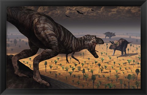 Framed Tyrannosaurus Rex spots two Passing Triceratops Print