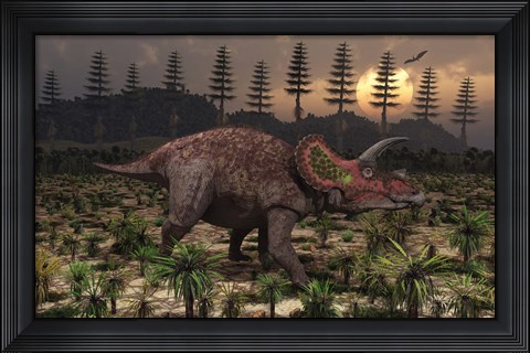 Framed Artist&#39;s concept of Triceratops Print