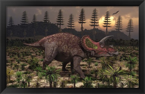 Framed Artist&#39;s concept of Triceratops Print