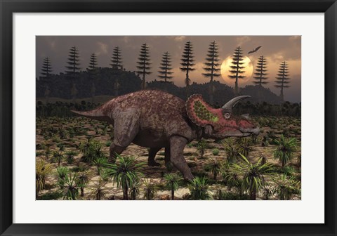 Framed Artist&#39;s concept of Triceratops Print