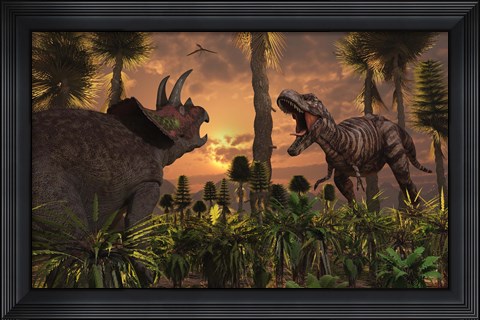 Framed T- Rex and Triceratops meet for a Battle 1 Print