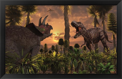 Framed T- Rex and Triceratops meet for a Battle 1 Print