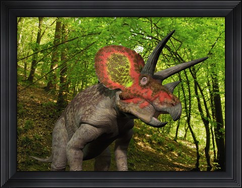 Framed Colorful Triceratops Wanders a Cretaceous Forest Print