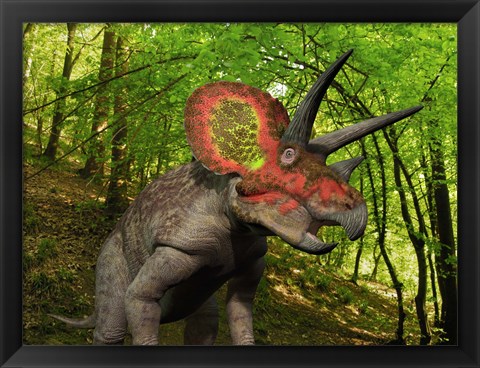 Framed Colorful Triceratops Wanders a Cretaceous Forest Print