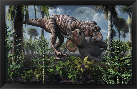 Framed Tyrannosaurus Rex Kills a Triceratops as its Next Meal Print