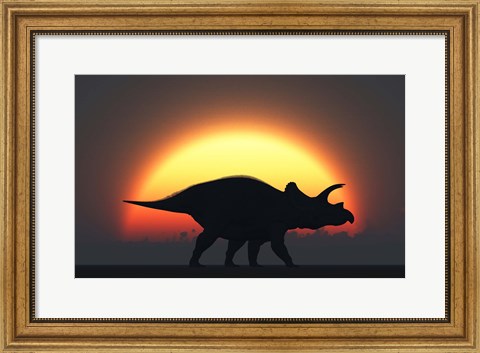 Framed Silhouetted Triceratops strolling Past a Setting Sun Print