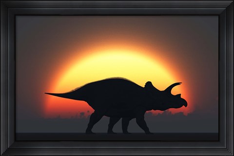 Framed Silhouetted Triceratops strolling Past a Setting Sun Print