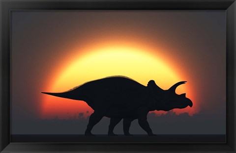 Framed Silhouetted Triceratops strolling Past a Setting Sun Print