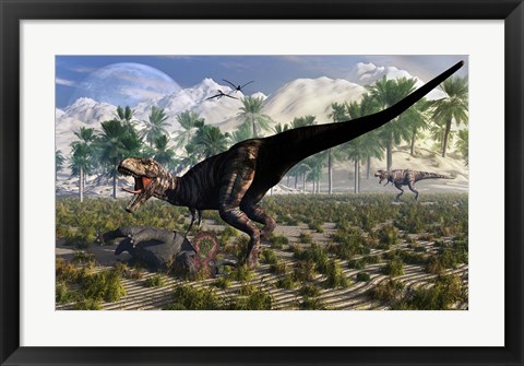 Framed Tyrannosaurus Rex Guards its meal of a Juvenile Triceratops Print